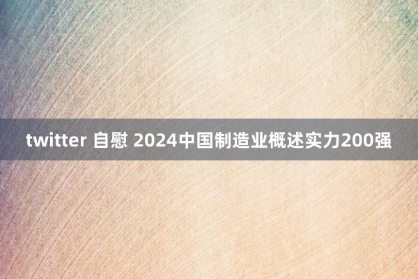 twitter 自慰 2024中国制造业概述实力200强