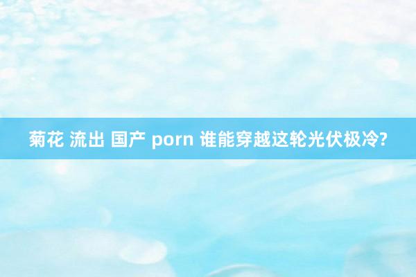 菊花 流出 国产 porn 谁能穿越这轮光伏极冷?