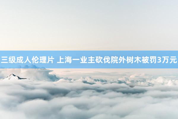 三级成人伦理片 上海一业主砍伐院外树木被罚3万元
