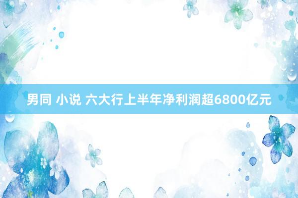 男同 小说 六大行上半年净利润超6800亿元