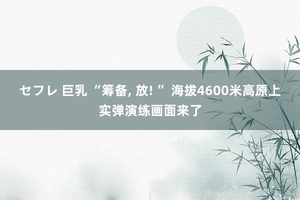セフレ 巨乳 “筹备， 放! ” 海拔4600米高原上实弹演练画面来了