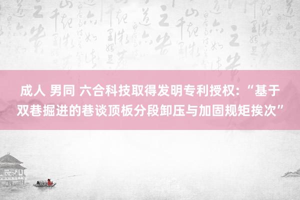 成人 男同 六合科技取得发明专利授权: “基于双巷掘进的巷谈顶板分段卸压与加固规矩挨次”