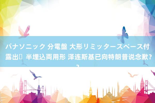 パナソニック 分電盤 大形リミッタースペース付 露出・半埋込両用形 泽连斯基已向特朗普说念歉？